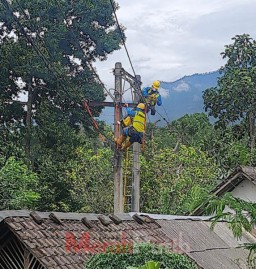 PLN Terjunkan 124 Personel untuk Percepat Pemulihan Listrik di Semeru