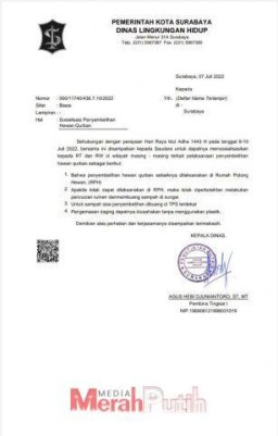 DLH Minta Warga Tak Membuang Organ Lambung Sapi Sembarangan!