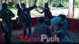 Judi Sabung Ayam di Bandung Tulungagung Digerebek Polisi