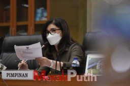 Felly DPR: Tergerus dan Lemahnya Perlindungan Negara pada Pekerja