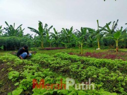 Cara Jitu Wali Kota Surabaya Hadapi Ancaman Krisis Pangan Global