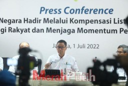 Pemerintah Gelontorkan Kompensasi Listrik Rp24,6 Triliun ke PLN
