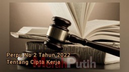 Menyoal Perpu Cipta Kerja