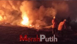 Saat Kemarau Rentan Terjadi Kebakaran, Warga Diimbau Tak Bakar Sampah dan Alang-alang Sembarangan