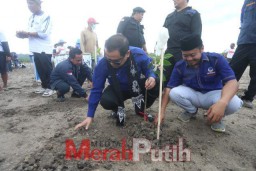 Galakkan Kenduri Bahari, NasDem Jatim Tanam Ribuan Pohon Mangrove di Banyuwangi