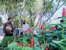 Menengok Suasana Kota Surabaya yang Sejuk, Tiap Harinya Konon Ditanam 1000 Tanaman!