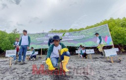 PLN Tanam 5000 Bibit Mangrove di Teluk Pangpang Banyuwangi