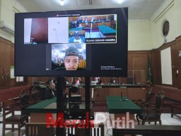 Menjual Satwa Liar, Fahrul Dituntut Satu Tahun Penjara