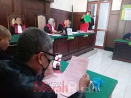 Orang Utan diselundupkan Fendi karena Tergiur upah Rp 800 Ribu