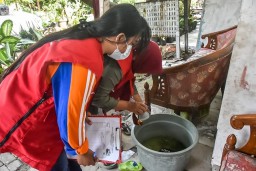 Kasus DBD di Kota Surabaya Aman