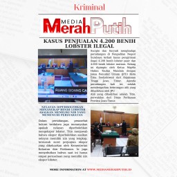 Sucipto dan Suryadi Terjerat Kasus Penjualan 4.200 Benih Lobster Ilegal