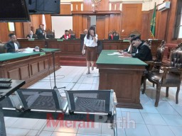 Dugaan Pemalsuan STNK Mobil Pajero, Terdakwa Ngaku Beli Seharga Rp 250 juta