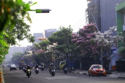 Menghadapi Hutan Beton Dengan Budaya Menanam Diantara Perkotaan