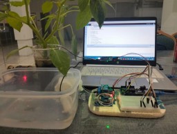 Mahasiswa UNESA Kembangkan Sistem Penyiraman Tanaman Otomatis Berbasis IoT untuk Pembelajaran di SMP