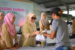Baca juga : Surau Qutubul Amin Sembelih 52 Sapi dan 10 Kambing, Bagikan Daging Kurban ke Ribuan Warga
