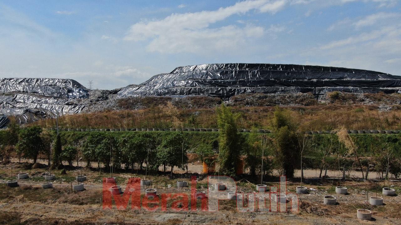 bantuan 1000 pohon bambu kuning dari Bumi Bhakti Foundation rencananya akan ditanam di sekitar Tempat Pembuangan Akhir (TPA) Benowo sebagai buffer zone (zona penyangga) I MMP I dok humas