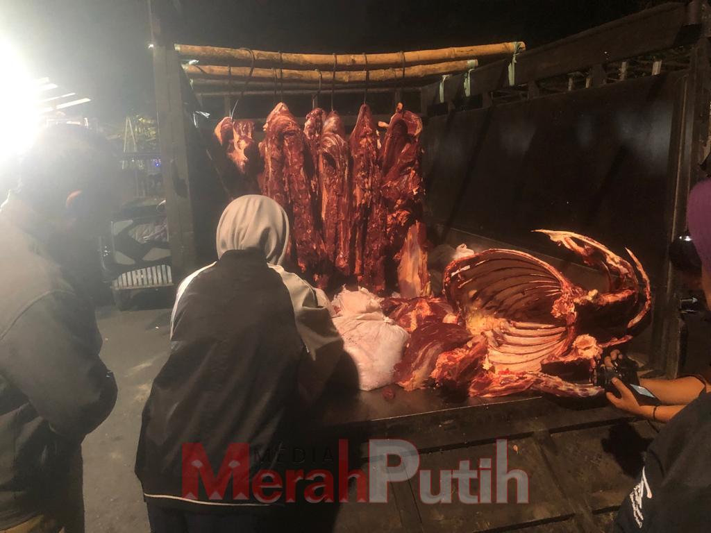 Pemkot Surabaya perketat peredaran daging gelonggongan jika ditemukan ada peredaran daging gelonggongan maka terancam pidana 2 tahun penjara