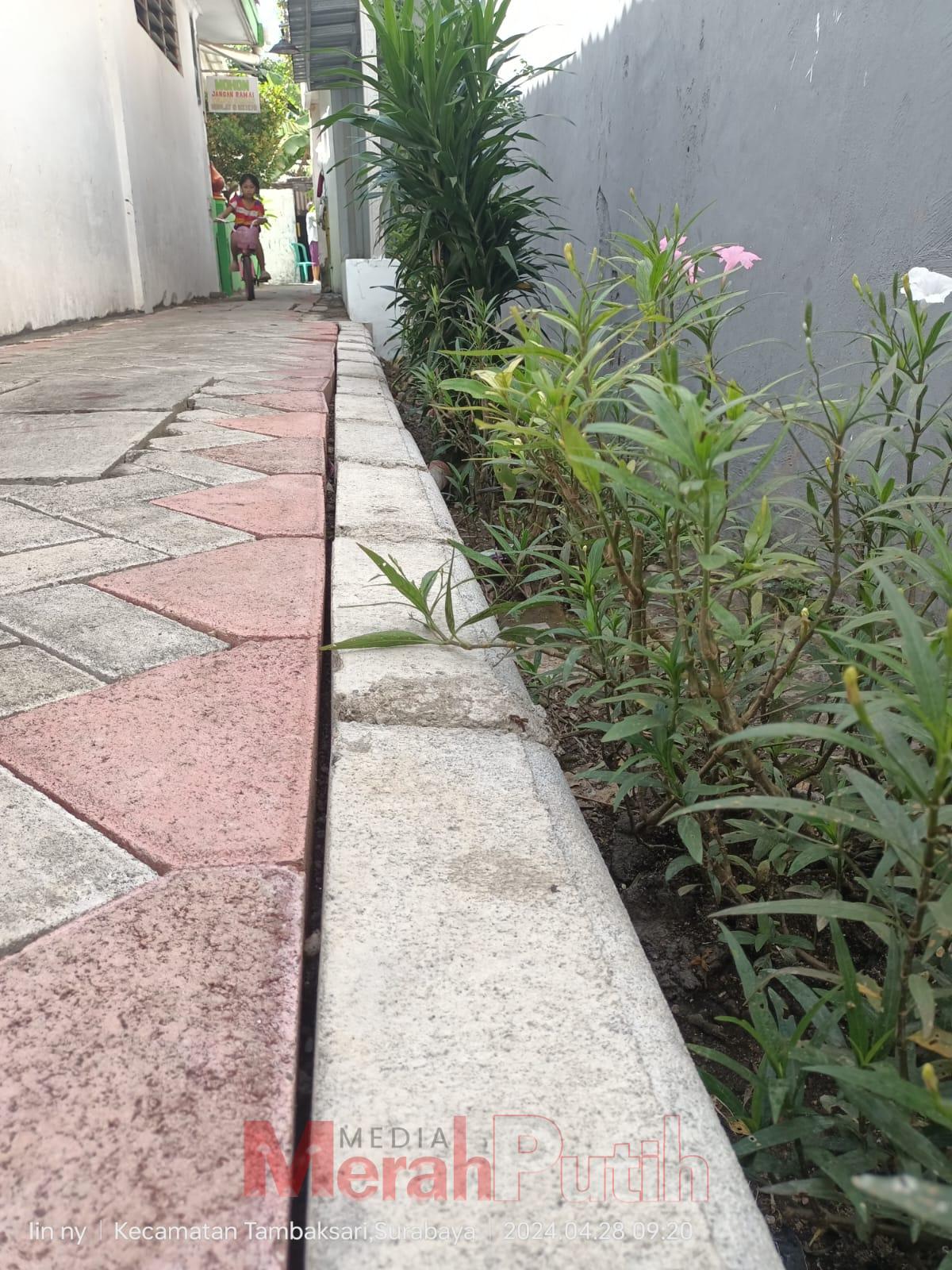 Proyek pembuatan jalan paving lebar 2 meter dan saluran air ukuran 30/40 cm di jalan Gersikan, Kelurahan Pacarkeling, Kecamatan Tambaksari Rp. 304.929.843 diduga dilaksanakan tanpa proses tender terbuka, mengundang pertanyaan akan transparansi dalam penun