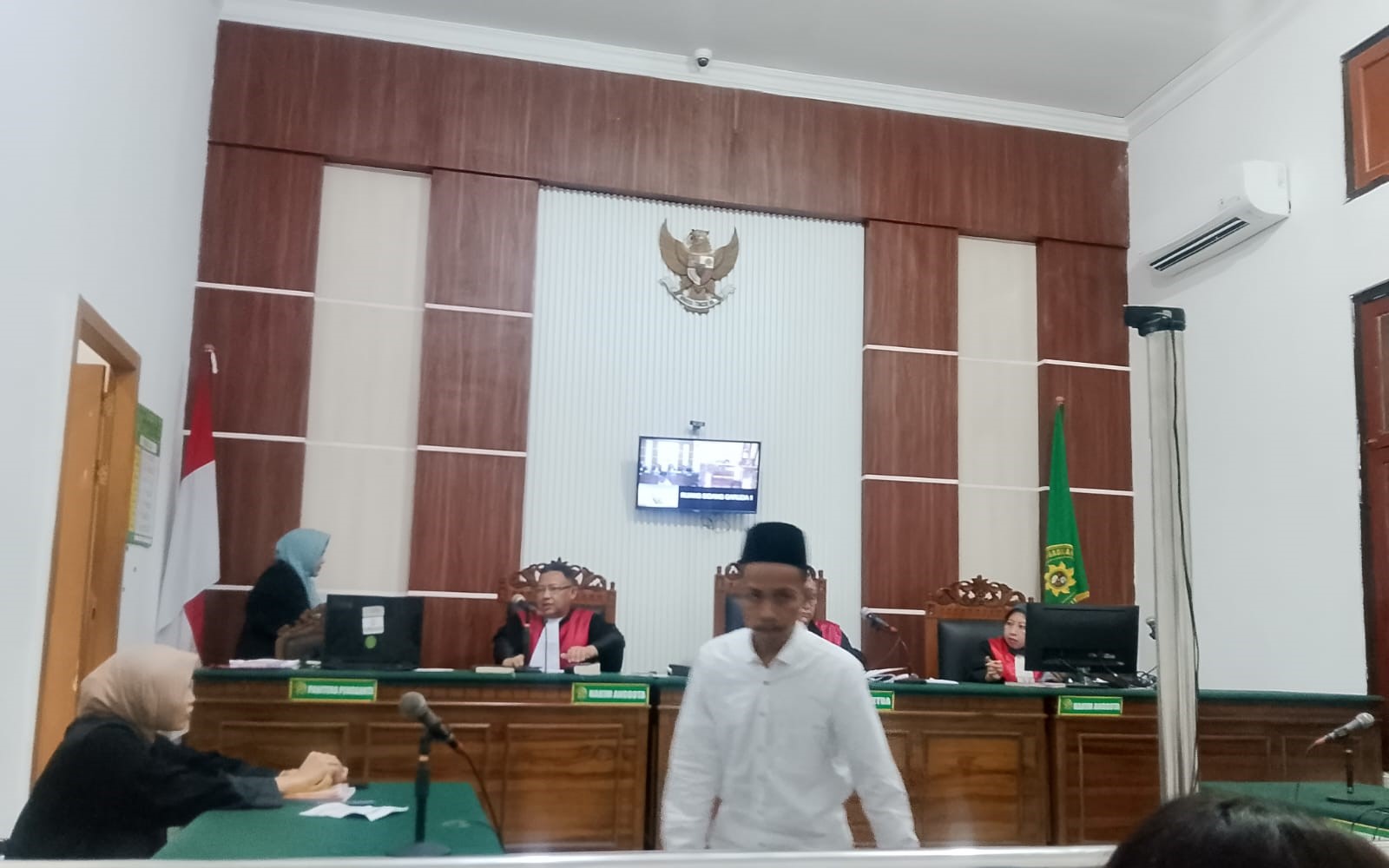 Dalam amar putusannya, majelis hakim yang diketuai Hakim Alex Adam Faisal menyatakan terdakwa terbukti secara sah dan meyakinkan bersalah melakukan tindak pidana tanpa hak atau melawan hukum menawarkan untuk dijual, menjual, membeli, serta menjadi peranta